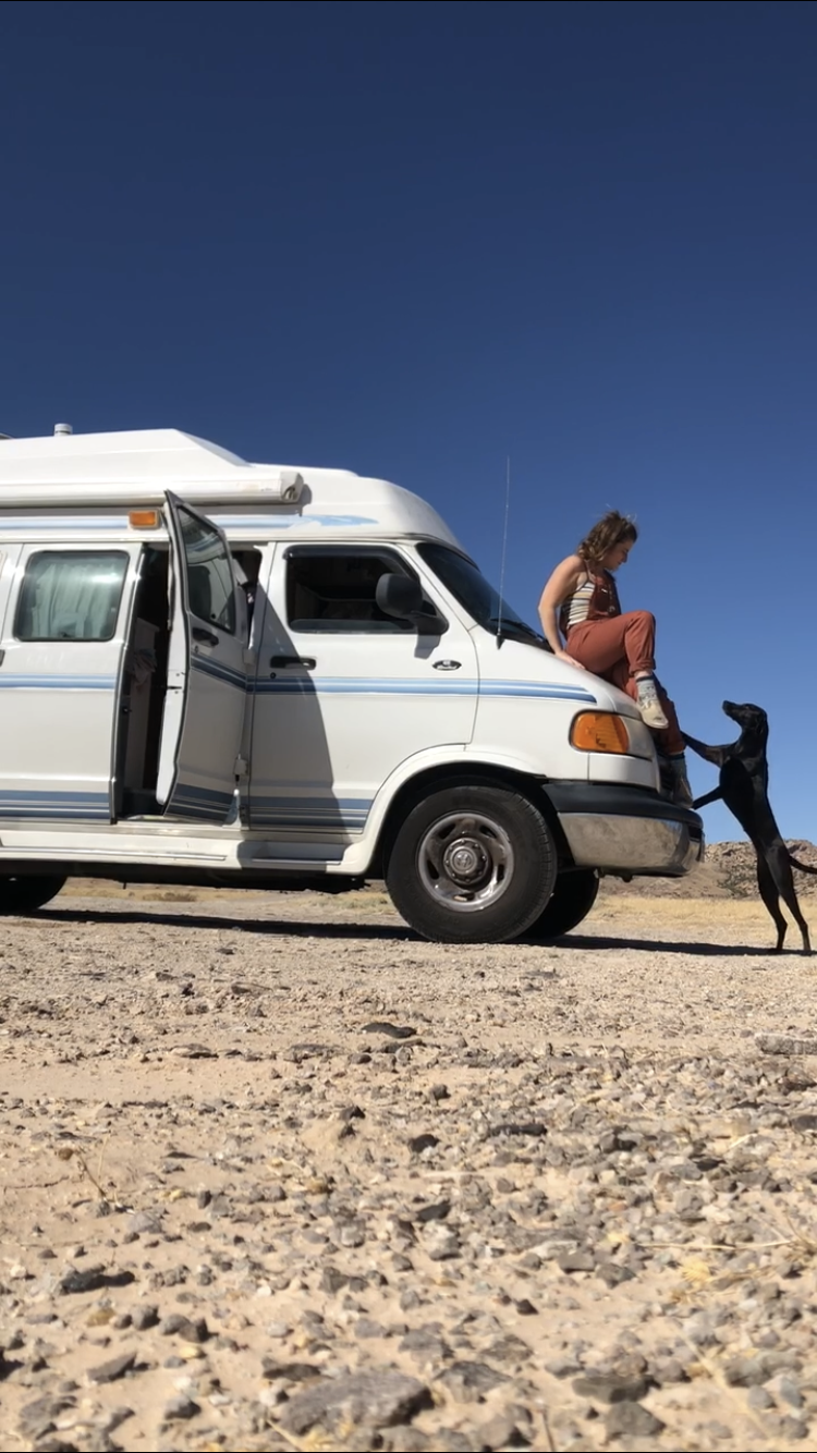 Essential Dog-Friendly Trip Gear: On The Road With Fido